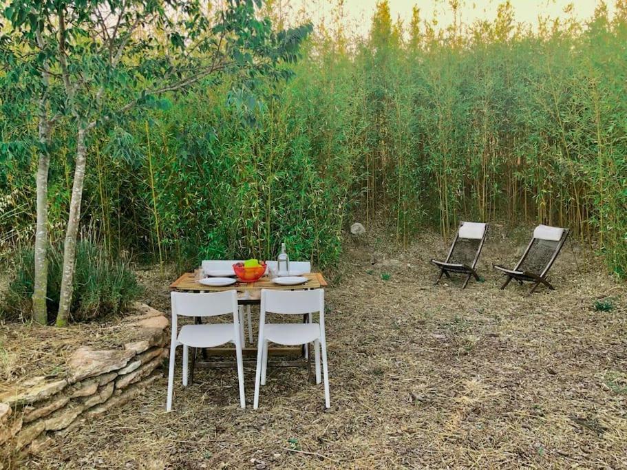 Eco Tiny Home & Office For Digital Nomads Vallmoll المظهر الخارجي الصورة