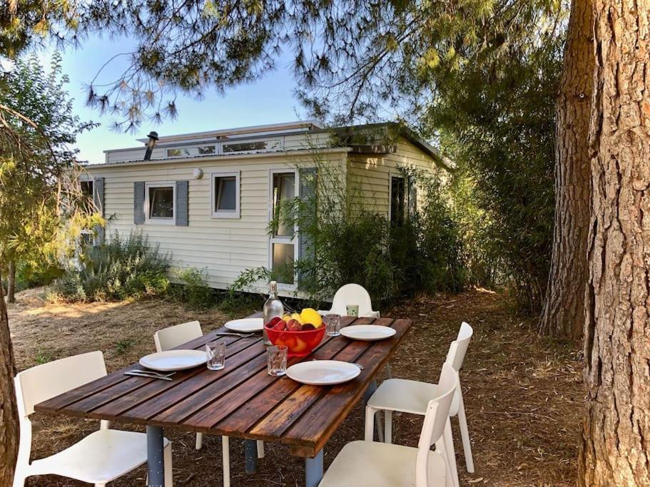 Eco Tiny Home & Office For Digital Nomads Vallmoll المظهر الخارجي الصورة