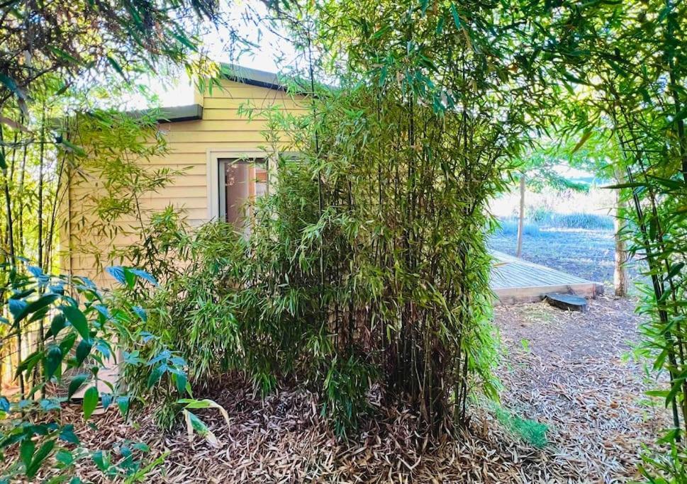 Eco Tiny Home & Office For Digital Nomads Vallmoll المظهر الخارجي الصورة